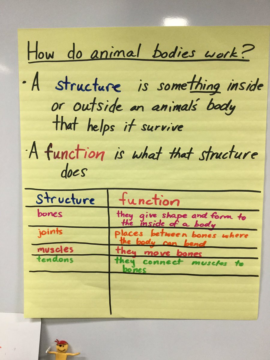 G4asij's tweet photo. We were discovering how animals can move their bodies today. https://t.co/5nwGtzd5Zq