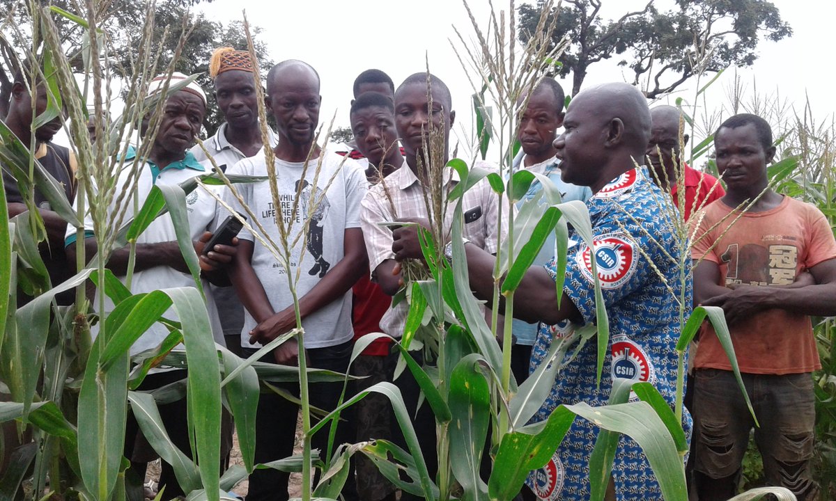 aatfafrica's tweet image. Did you know that without appropriate action, #FallArmyworm could cause 21-53% 🌽yield losses in 12 African countries in 5 years?  @aatfafrica @WEMAPartnership @OfabAfrica @IITA_CGIAR @CABI_Plantwise @TaatIita #FromPlanToAction meetings on #ControllingFAW happening #Nairobi 🇰🇪