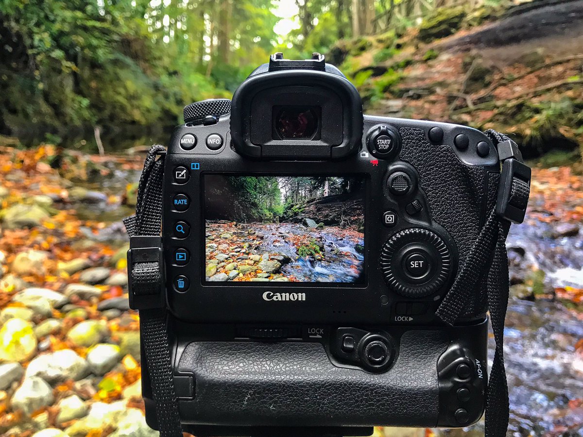 PicturskewPhoto's tweet photo. Capturing the colours of #Autumn in Tollymore Forest Park ‘The other side of the camera’ #canonphotography @CanonUKandIE @srbphotographic @manfrotto_uk  #gettingmyfeetwet #sureitsworthit #NorthernIreland @Crawford_Sim @WarkeChris #Srbpics @WeatherCee @barrabest @angie_weather https://t.co/VNPYTpUKjp