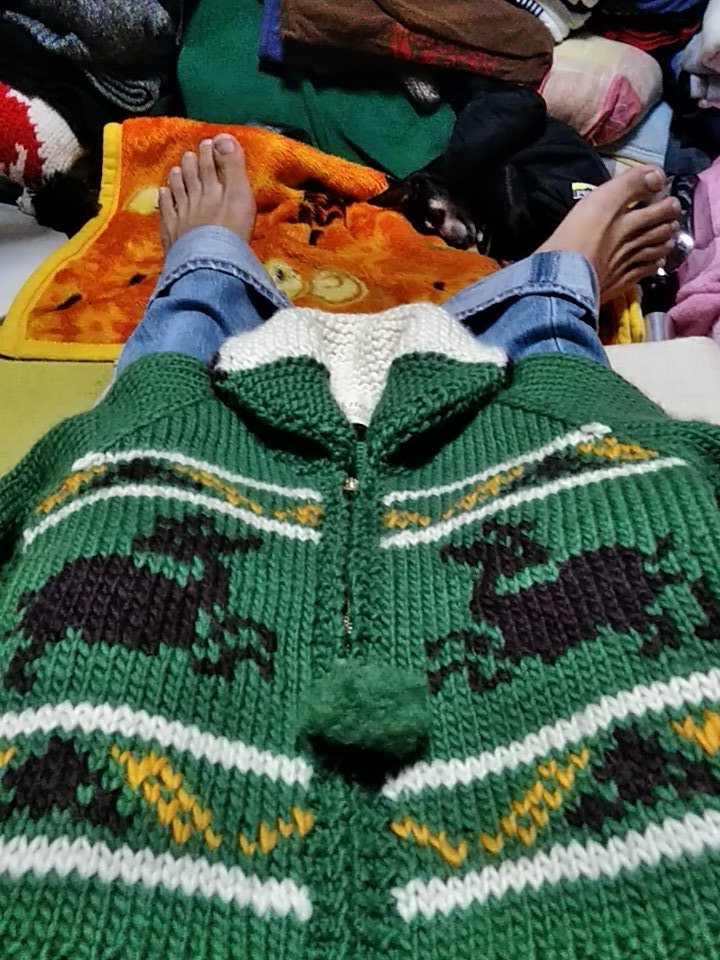 K_belfrykeeper's tweet image. インナー用にレディースカウチン買った。　
トナカイ柄🦌
おねーちゃんによう似とる。
毛玉よう取れた。🐰

#アローズ　#AnotherEdition