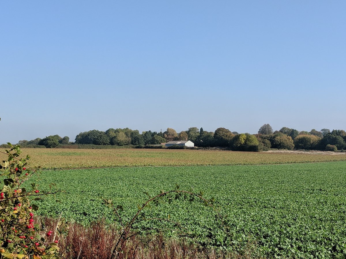 todonohoe's tweet photo. @EE #EEGoldenSIM near Upper Wootton, Hampshire. https://t.co/iqZFXFMmrf