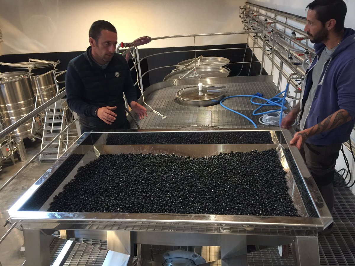 Vendanges 2018 au <a href="/chateauripeau/">Château Ripeau</a> #stemiliongrandcruclasse #vendanges2018 #stemilion