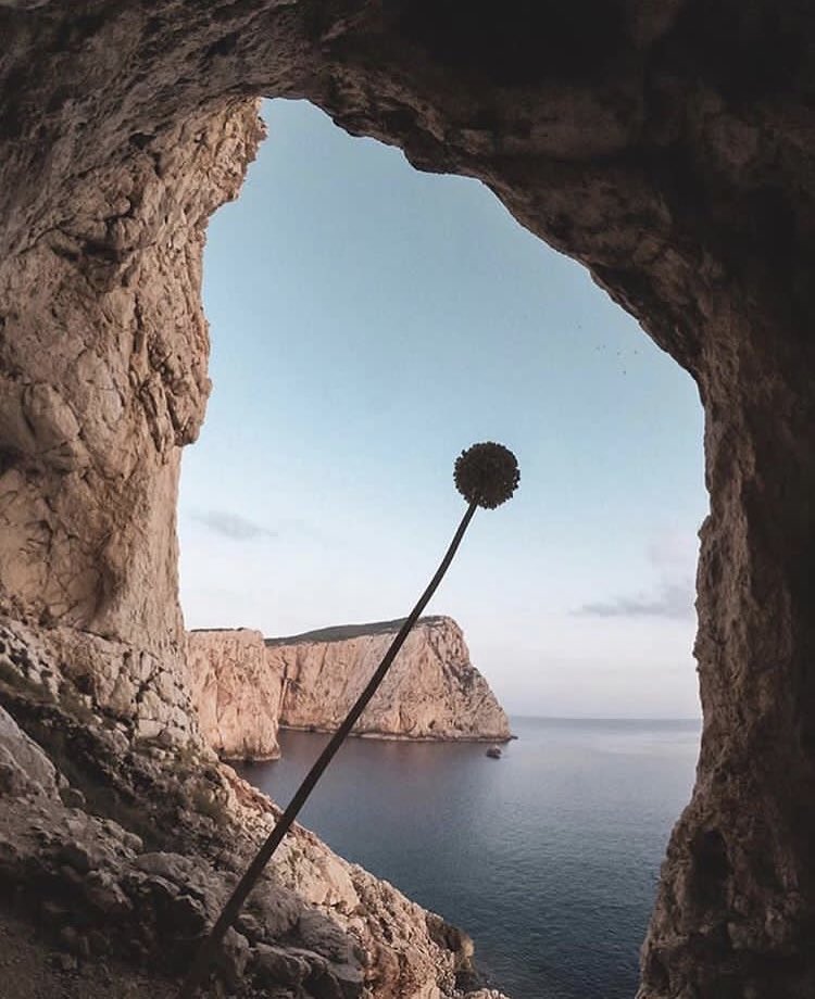 TeamSarda's tweet photo. Welcome to #Sardegna #Sardinia #Sardinien 🌸🌴☀
•
Rough rocks, cliffs and caves - beautiful...
•
📷  1 (#Alghero) graz_piras / 2 (#CalaMariolu) enricotravels_insardinia / 3 (#CalaGoloritzè) graz_piras #natur #rocks #cliffs #caves #italy #europe #lagoon #gooutside #Mediterran https://t.co/EWGeCJy124