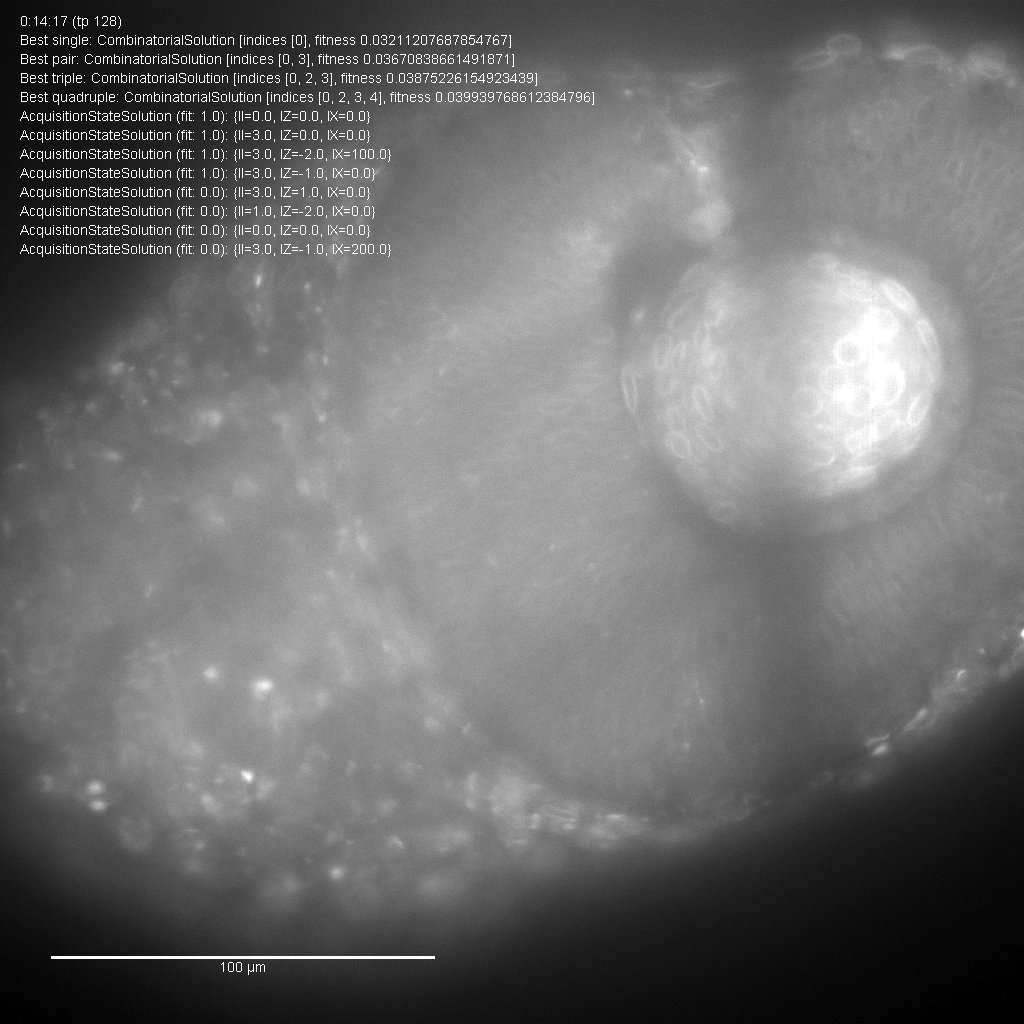 XWingScope's tweet photo. Hey @haesleinhuepf , I have a nice view at timestamp 1539349319962 https://t.co/YcJm4VURjl