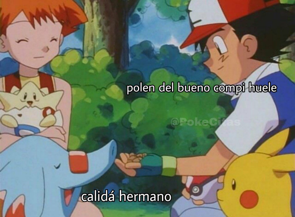 Memes Pokémon (@pokecitas) on Twitter photo 