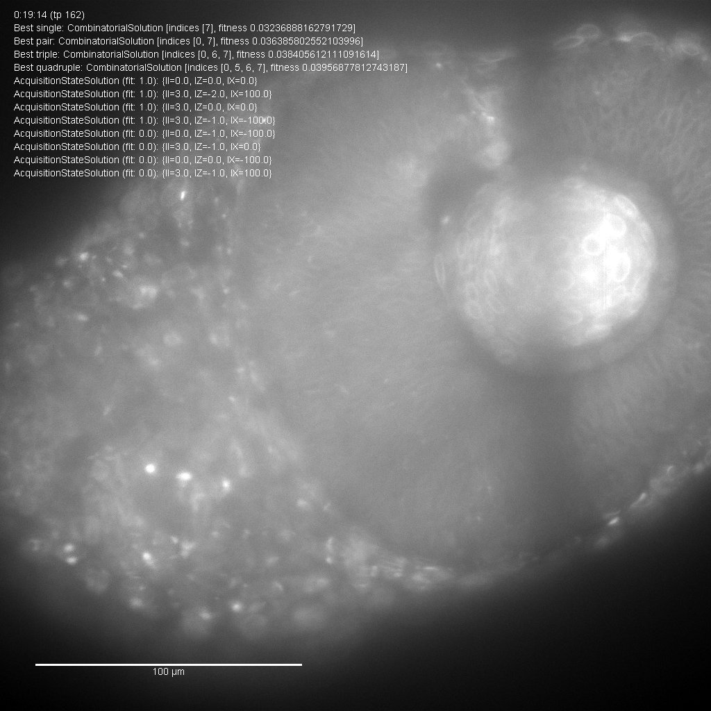XWingScope's tweet photo. Hey @christlet , I have a nice view at timestamp 1539349616306 https://t.co/r5ixXGAr8V
