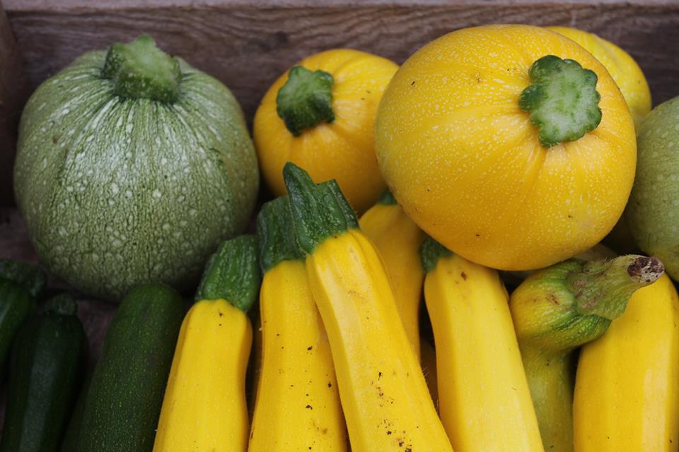 Fromes <a href="/SFMMarkets/">SomersetFarmersMkts</a> this Saturday <a href="/cheeseandgrain/">Cheese and Grain</a> will be packed full with award winning local farmers and food producers. Stop by from 9am to pick up something delicious.