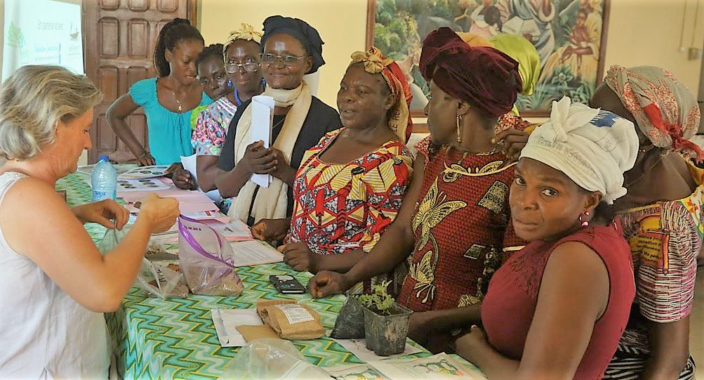 Présentes dans 15 pays #Benin #Burkina #Burundi #Cameroun #RCA #CotedIvoire #Gabon #GuinéeConakry #Madagascar #Mali #Niger #RDC #Senegal #Tchad  #Togo les Maisons de l'#Artemisia sont des centres de formation, production, transformation maison-artemisia.org #paludisme