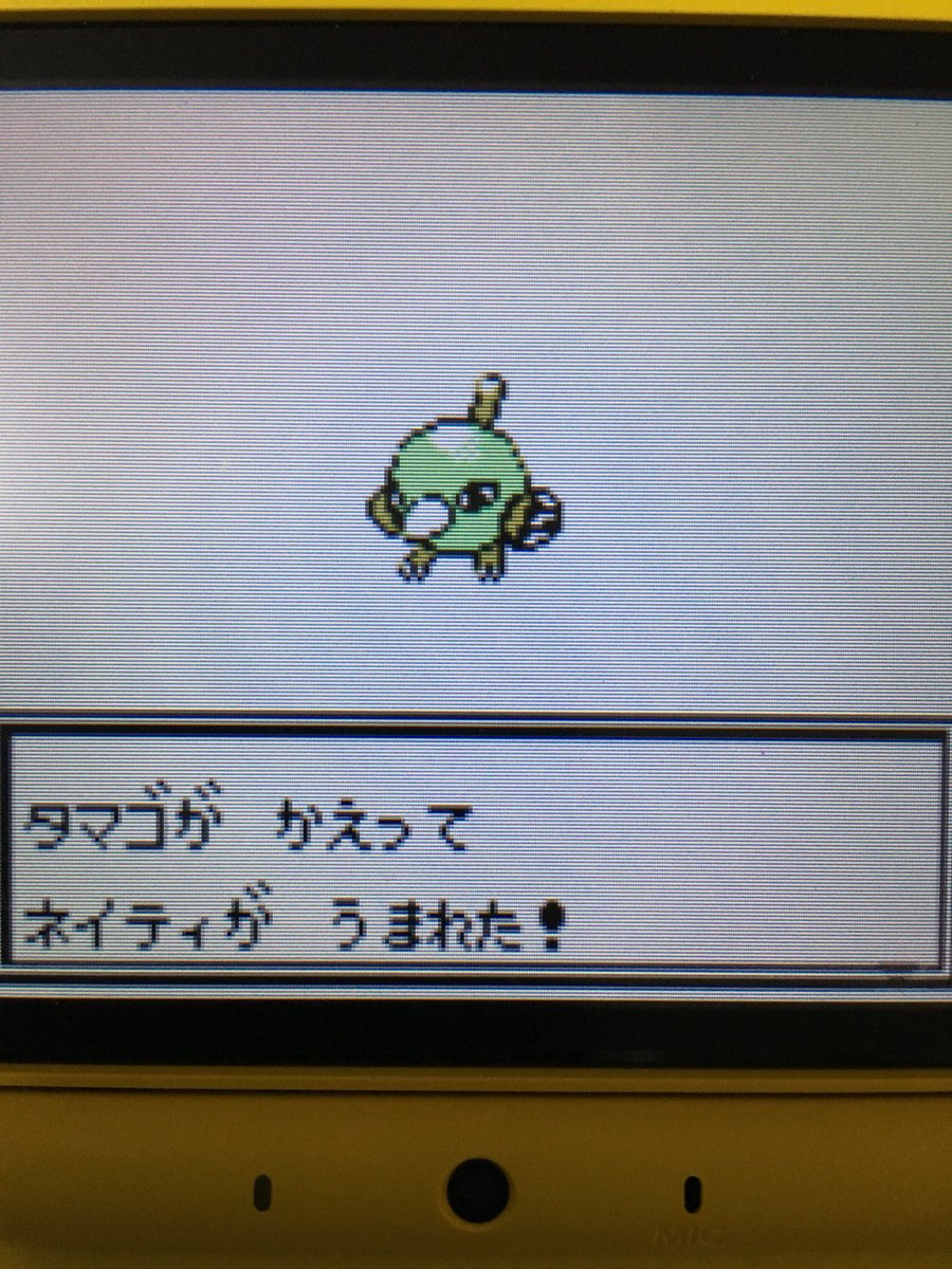 色違いポケモン紹介 Vc産ネイティ 自由に生きてあそblog