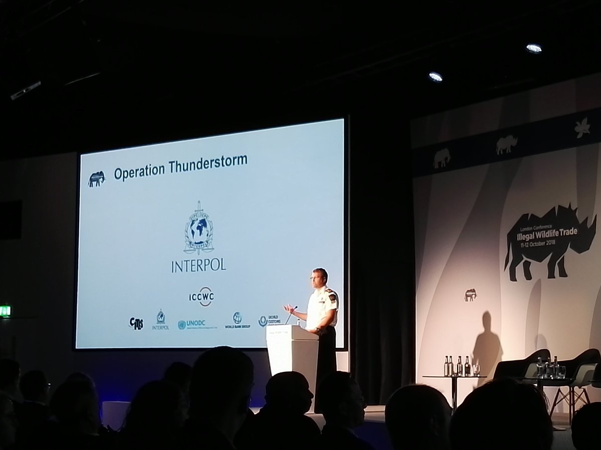 Cecile_Tang's tweet photo. .@ShelJCanada presenting results, insights, challenges of #operationthunderstorm a @INTERPOL_EC @INTERPOL_HQ initiative involving 92 countries! #IWT18 @environmentca @youth4wildlife https://t.co/guc66SEqo1