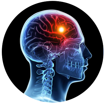 TissueGen's tweet image. .@TissueGen’s Founder and CSO, Dr. Kevin Nelson, will be presenting on the latest advancements in extrusion technology which are enabling advanced #drugdelivery on Monday at #IFAIExpo2018. #nerveregeneration #tissueengineering bit.ly/2PuwpNX