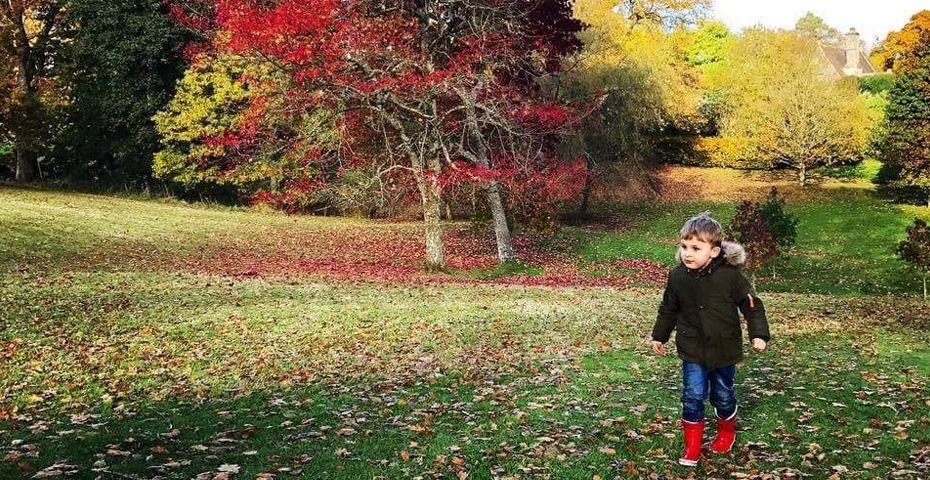 pdf change prozesse effizient