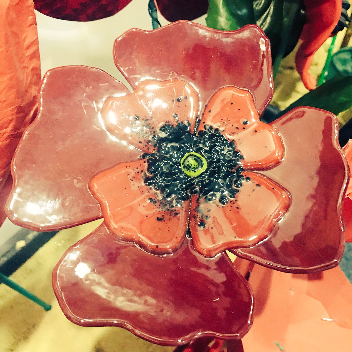 MoulsfordArt's tweet photo. Such a wonderful variety of poppies! #RemembranceDay #LestWeForget https://t.co/aOpJIysfDC