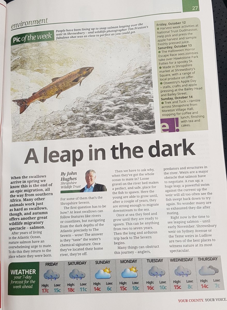 Tim Preston tweet media