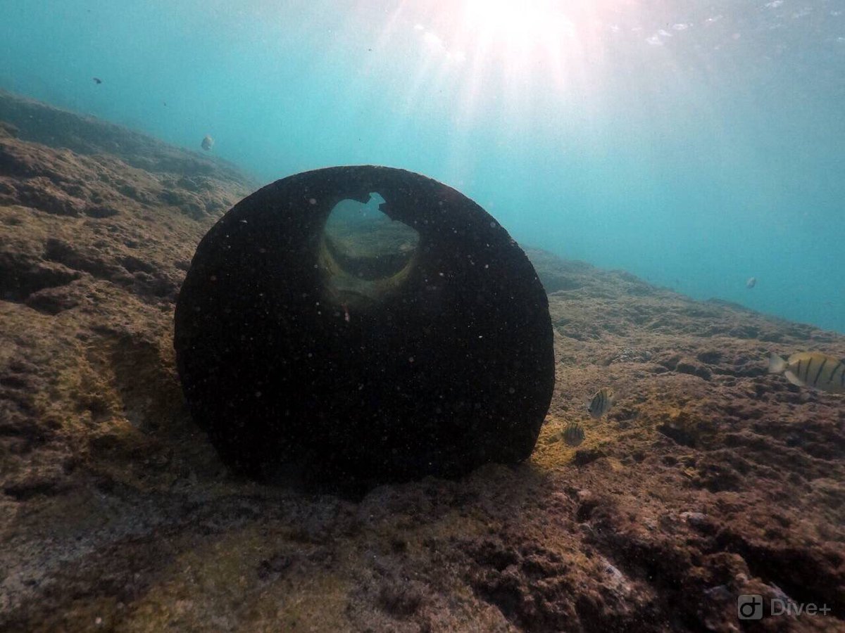 Z8C00L's tweet photo. Under the #SinamaleBridge, ocean floor almost #Muizzed. #EPA getting ready to sue @HousingGovMv for the cause. 
Miothy mathi omaankkohffa aadhsige mathin. 
@sham17live @Lucasjalyl @hamburiano @leyysaa1 @gillbykayan1 @benchy007 https://t.co/nWbfhoJHJx