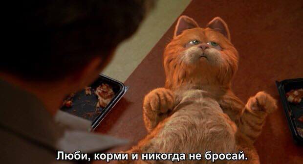 owlarryy's tweet image. я гарфилд :&amp;gt;