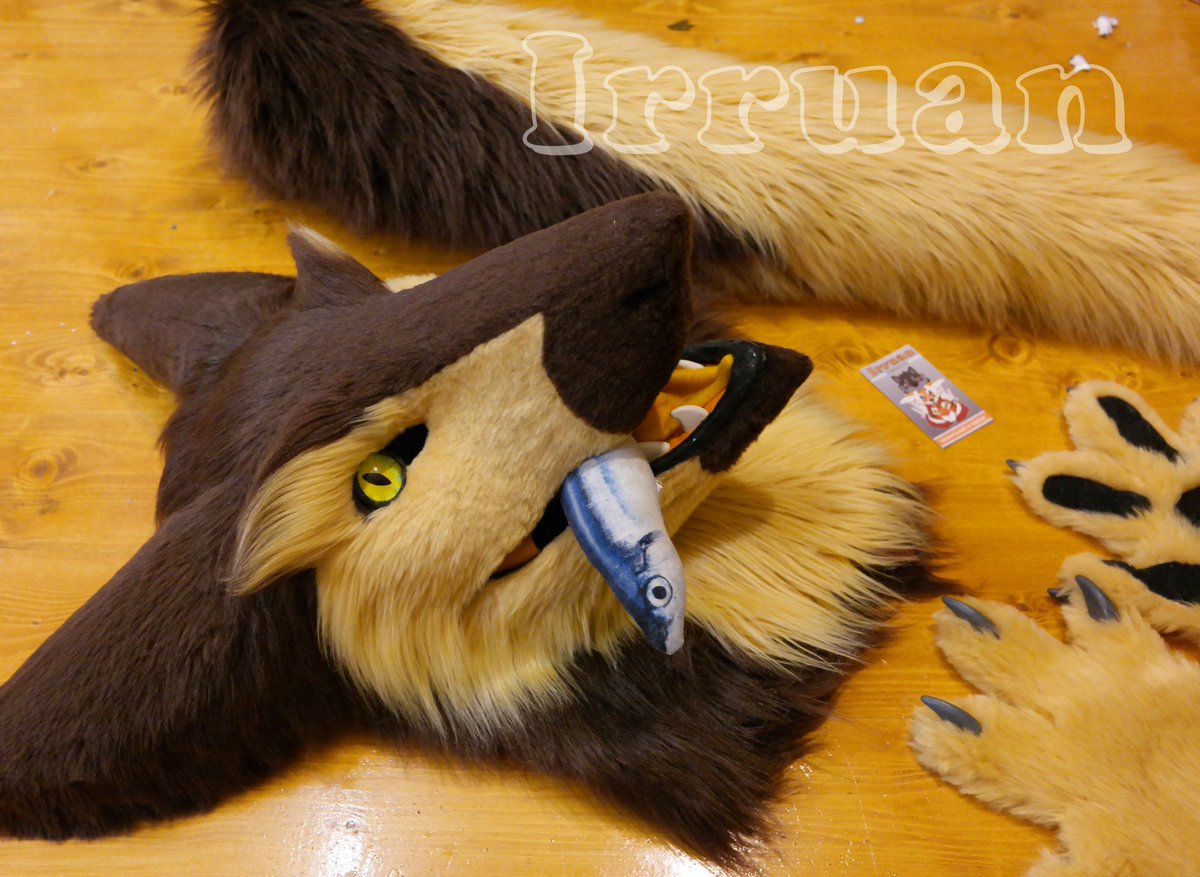 Sergal Reika
#irruan #fursuit #sergal
