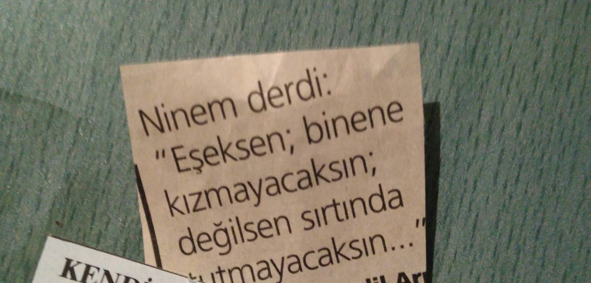 Ninesi çok doğru söylemiş..