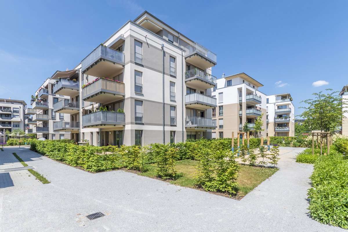 CEMEX_Germany's tweet photo. Quartierneubau in Dresden: Auch eine „Gartenstadt“ braucht Beton.
Mehr dazu:  https://t.co/H0d8GpDxtT @CEMEX_Germany 
#cemex #beton #transportbeton #wohnbau #bauprojekt #dresden #gartenstadt #sachsen #wohnbauprojekt https://t.co/BbblWQYuhi