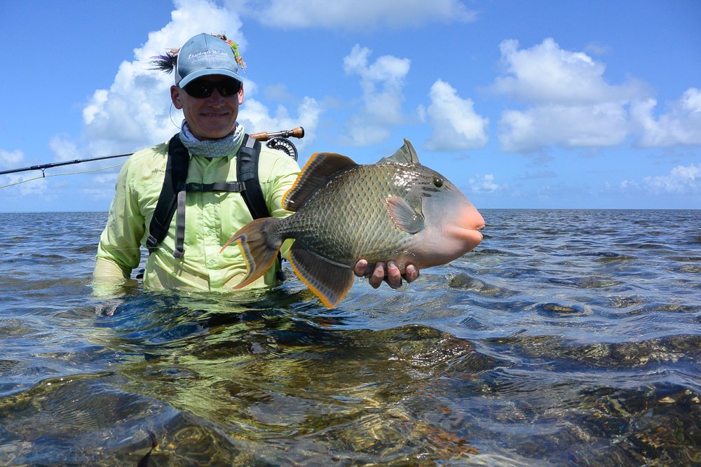 flycastaway's tweet photo. Once you've chased #Triggerfish, you'll dream of chasing them again. Ask anyone! Feisty guys these &amp; boy do they put on a show. #TestedTough #FishGLoomis #ProvidenceAtoll https://t.co/t3d9Lhtzf3