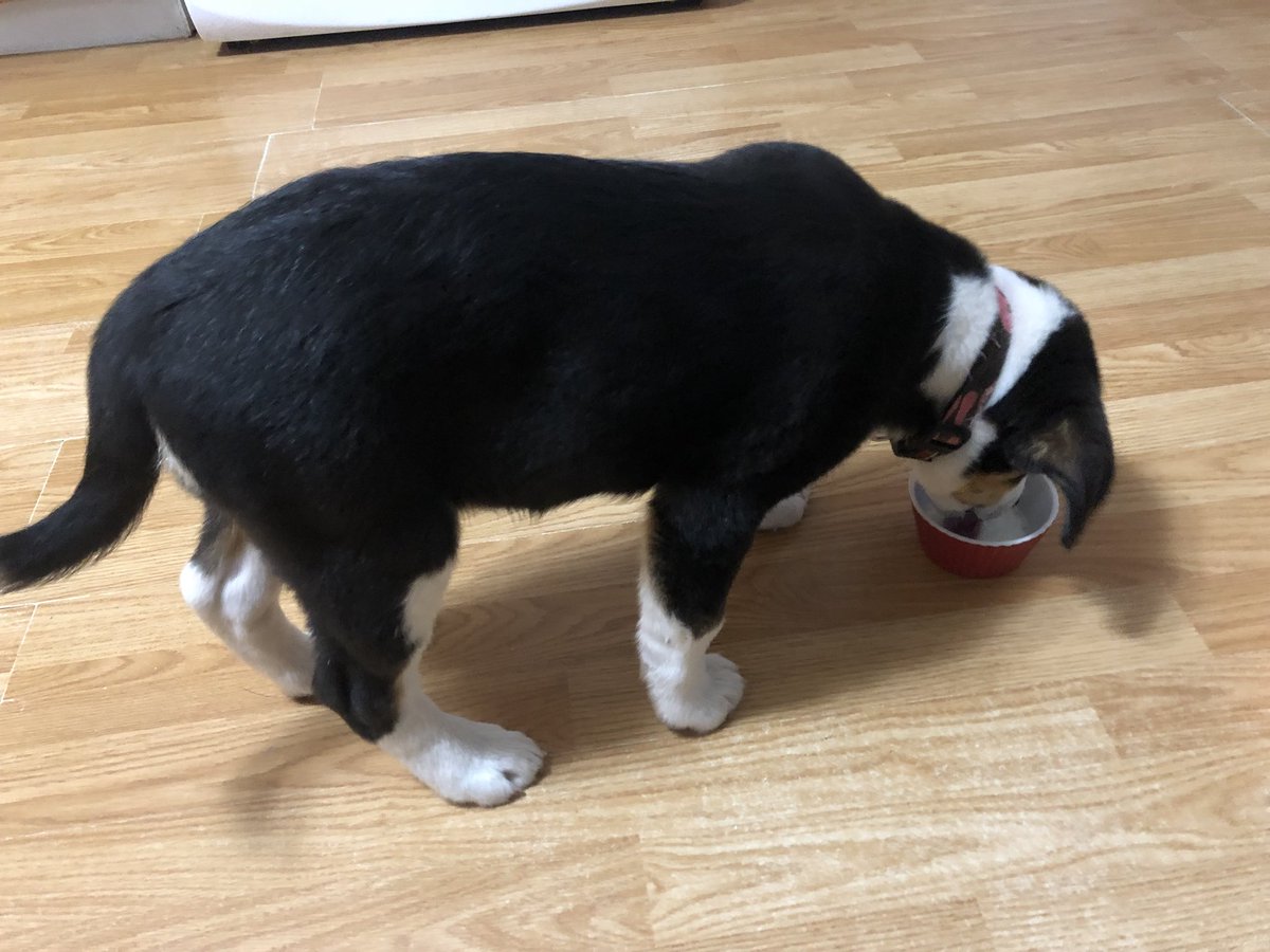 She likes milk - she’s a keeper!