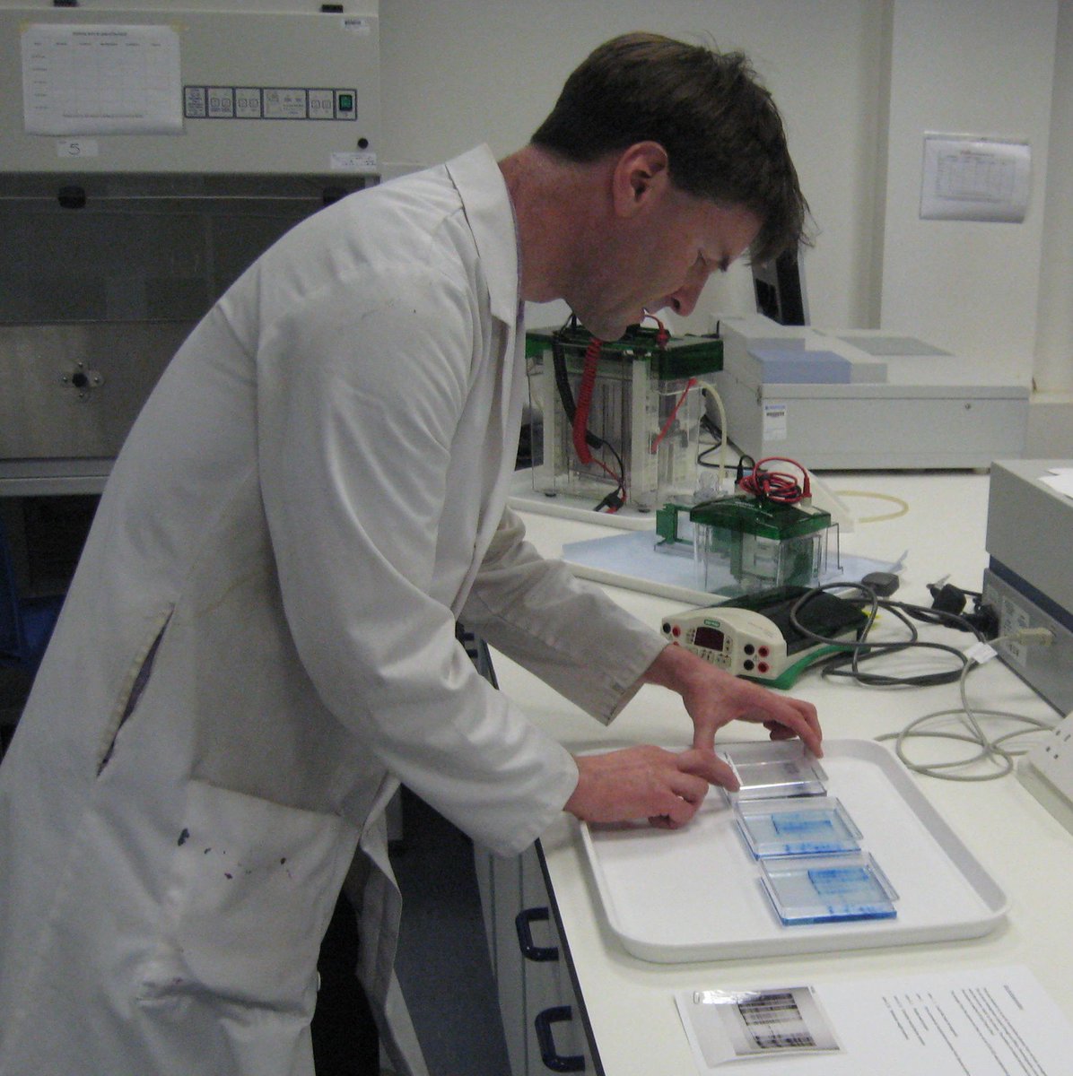 #iamabiologist <a href="/KingstonUni/">Kingston University</a> &amp; had such a varied career over 25 years as #virologist #molecularbiologist #cellbiologist #embryologist #zoologist #physiologist #pharmacologist #endocrinologist #biochemist #teacher #communicator #policy #publicengagement #biologyweek <a href="/RoyalSocBio/">Royal Society of Biology</a>