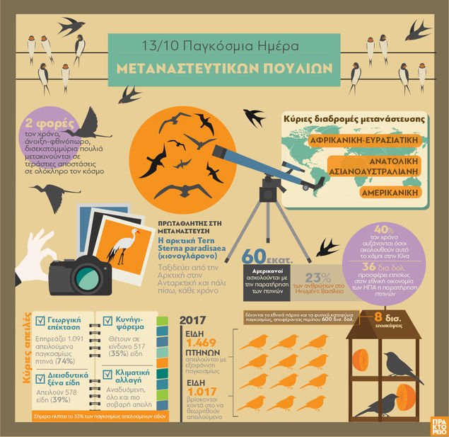amna_news's tweet photo. #WorldMigratoryBirdDay 🐦
Παγκόσμια Ημέρα για τα Μεταναστευτικά Πουλιά αύριο, 13 Οκτωβρίου

Τα είδη των αποδημητικών πτηνών, οι διαδρομές τους και η συμβολή τους στο οικοσύστημα, σε ένα γράφημα του ΑΠΕ-ΜΠΕ https://t.co/wt5ZISnU89

#MigratoryBirds #oiseauxmigrateurs  #WMBD2018 https://t.co/HfRfJ0XQ8Q