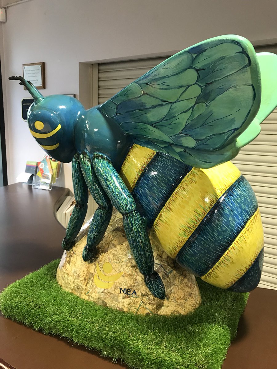 EDDIknows's tweet photo. Great day of Innovation with the @MEAcad and askEDDi team... creating a buzz! https://t.co/vGMBZr5xeY