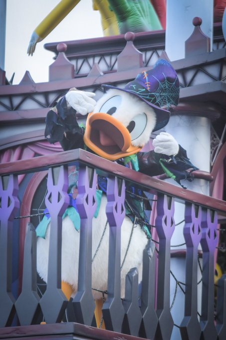 ドナルド 高画質 のtwitterイラスト検索結果 ドナルド 高画質 のtwitterイラスト検索結果