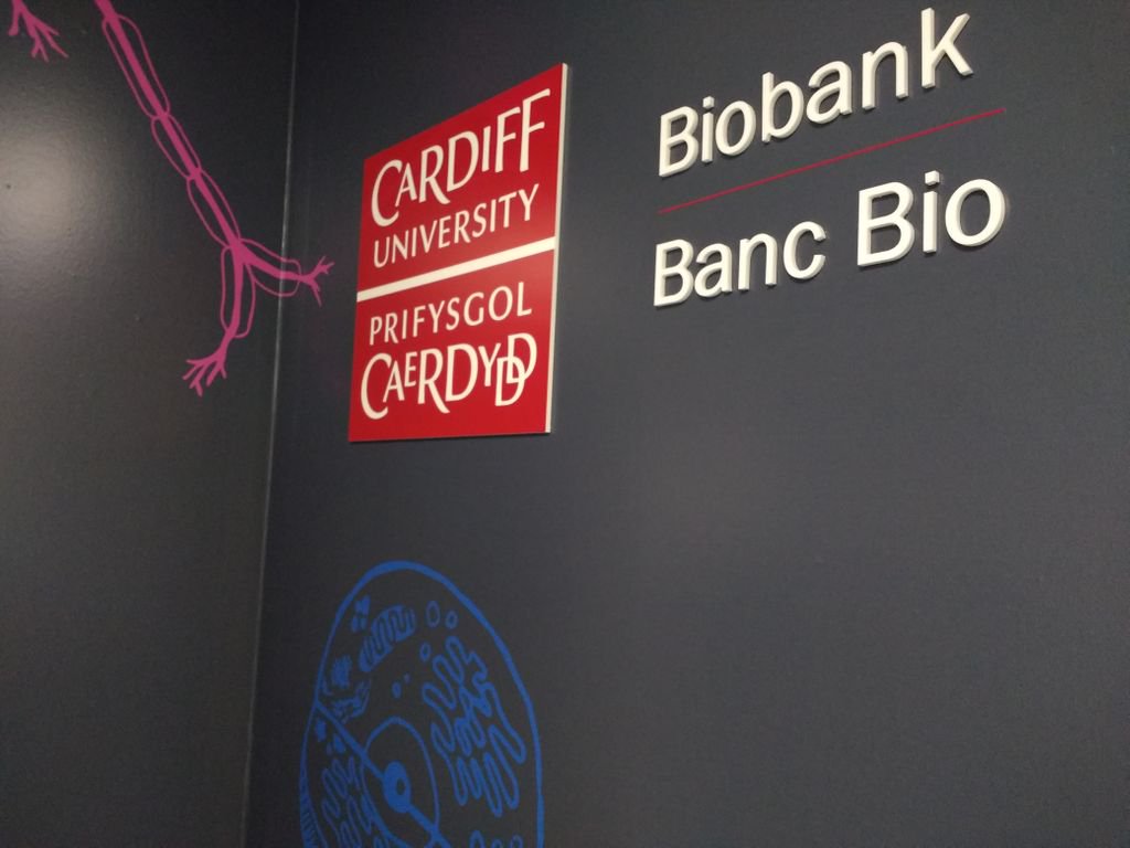 Cardiff Uni Comms (@cardiffuninews) on Twitter photo Owain Clarke from <a href="/BBCWales/">BBC Wales 🏴</a> visited our brand new biobanking facility this week to meet the <a href="/CUBiobank/">CUBiobank</a> staff and become one of the first people to donate a bio sample for vital health research taking place at #CardiffUni and beyond buff.ly/2A6nvks Owain Clarke from <a href="/BBCWales/">BBC Wales 🏴</a> visited our brand new biobanking facility this week to meet the <a href="/CUBiobank/">CUBiobank</a> staff and become one of the first people to donate a bio sample for vital health research taking place at #CardiffUni and beyond buff.ly/2A6nvks