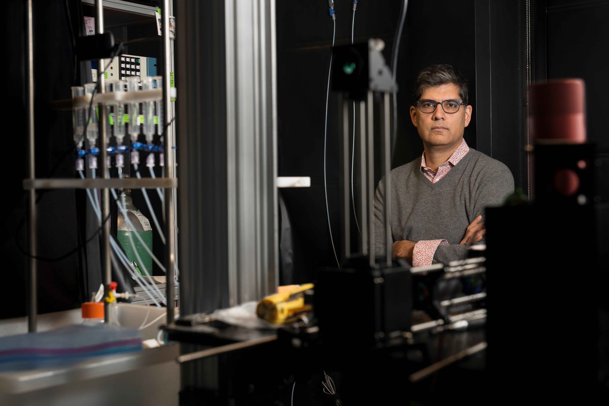 SWC_Neuro's tweet photo. Less than a week to go until Dr Sandeep Robert Datta's #SWCSeminar - Systematic representations for odor space and action space @harvardmed  https://t.co/iMutSz8OYo https://t.co/I6NXQVhcPL