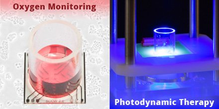ImtekSensors's tweet photo. Light-induced cancer treatment on-chip: #photodynamic therapy (#PDT) – monitoring cell metabolism using electrochemical #microsensors. Read our new paper: https://t.co/Nx9BYPqVvI @LabonaChip @photodynamicIPA https://t.co/BUomS2y741