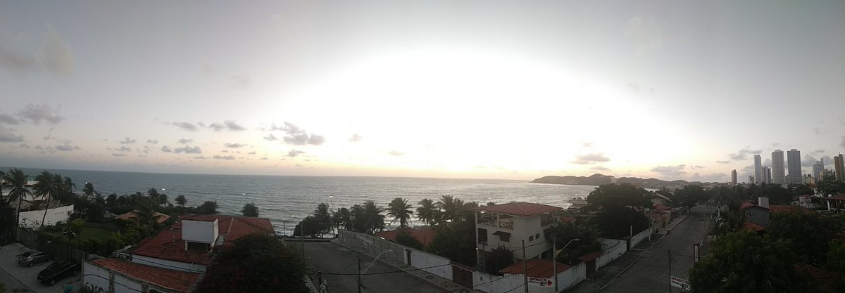 BotanyRNG's tweet photo. I keep trying to photograph sunrise over the Atlantic but every morning - cloud! #MonocotsVI #monocots6 https://t.co/qLTi7heVSO