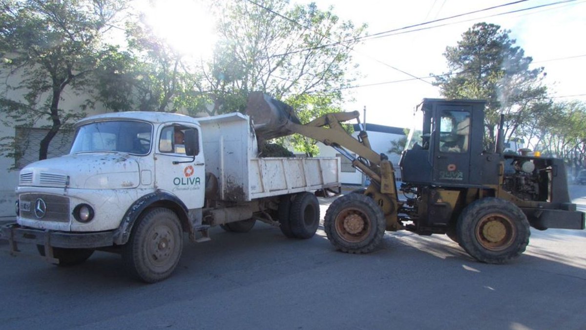 Toda la información sobre los servicios públicos del día lunes, feriado trasladado por el Día de la Diversidad Cultural.
Atención: Hay cambios de horarios. 🚚🚜🚧
ciudaddeoliva.gov.ar/noticias/697-e…