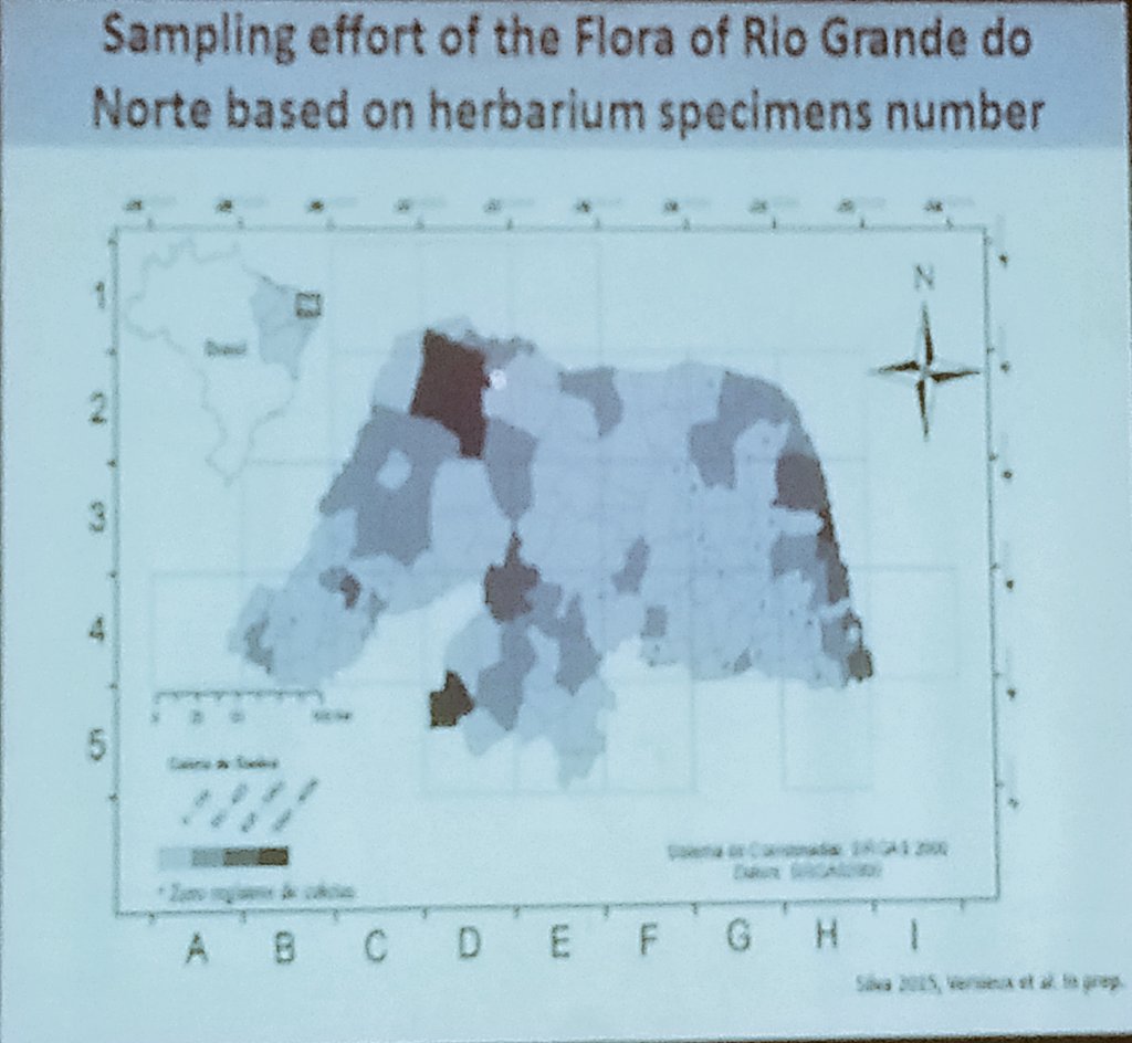 BotanyRNG's tweet photo. Fernanda Antunes Carvalho reports severe under collecting for Rio Grande do Norte. #MonocotsVI #monocots6 floristic diversity not sufficiently sampled. https://t.co/gotfEI8KrD
