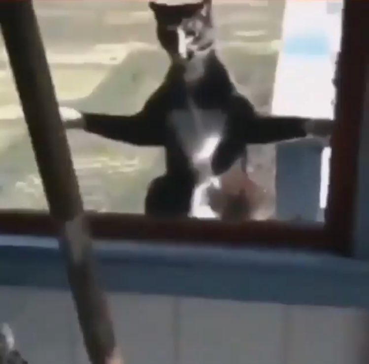 AbsoluteUnit69's tweet photo. @Andros_YOUTUBE https://t.co/fJ83lPx1jx