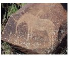 SAtourism2's tweet photo. #SArocks you want to know about the heritage of Xun and Khwe San people? visit @WildebeestKuilRockArtCentre in Kimberley to see amazing rocks!

#ENG2604 https://t.co/izVg8vylwU