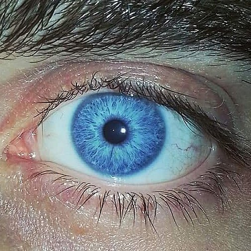 KARLASUTRA_'s tweet photo. THEM: Nice eyes.
ME: Thanks. I grew them myself. https://t.co/2WDD1hahwk