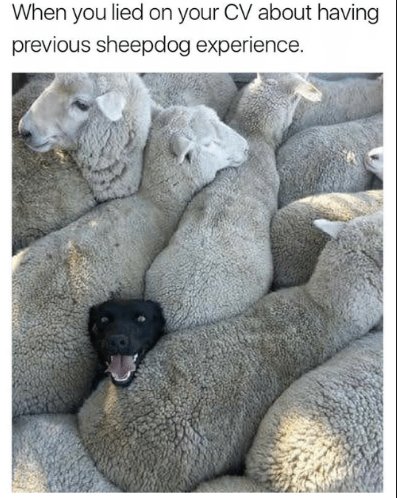 Peninsula_Jobs's tweet photo. Bit of Friday Fun! This made us chuckle in the recruitment office #CVfail #Jobhunting #FridayFeeling #alwaystellthetruthonyourCV https://t.co/UV7CRxqmAY