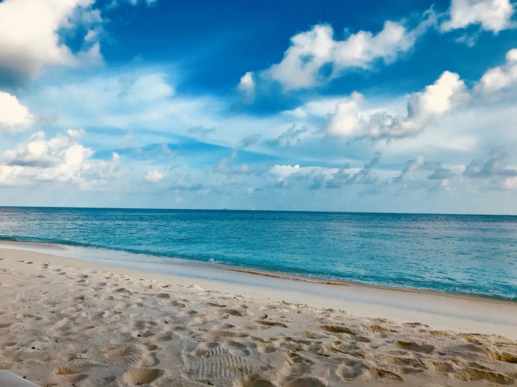 And relax.................current view #couldgetusedtothis #vacation #themaldives #love ❤️👙🐢🐠🐟🦀🐡☀️🌊🍸🏖🏝⛱🇲🇻