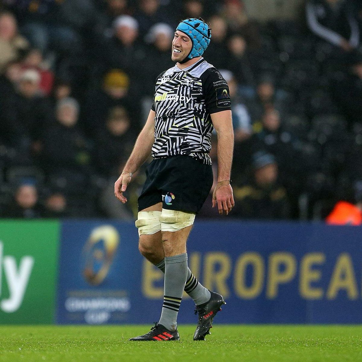 Ospreys Retail tweet media