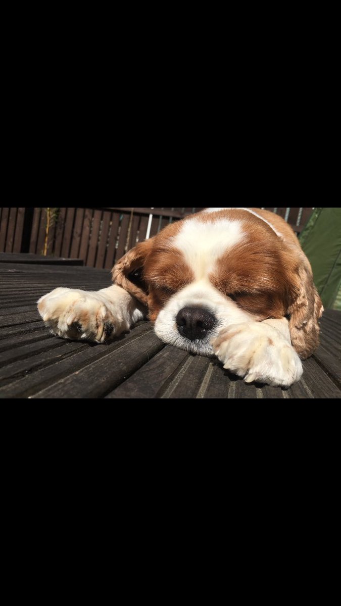 lucy tweet media