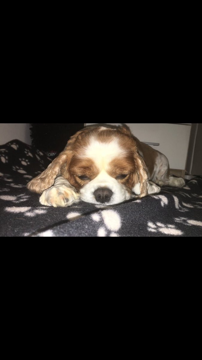 lucy tweet media