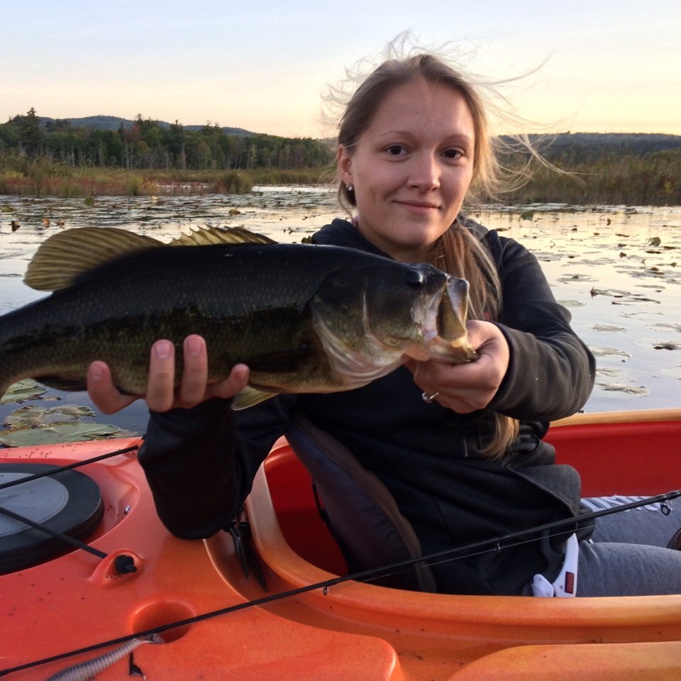 SuperstitiousFisher tweet media