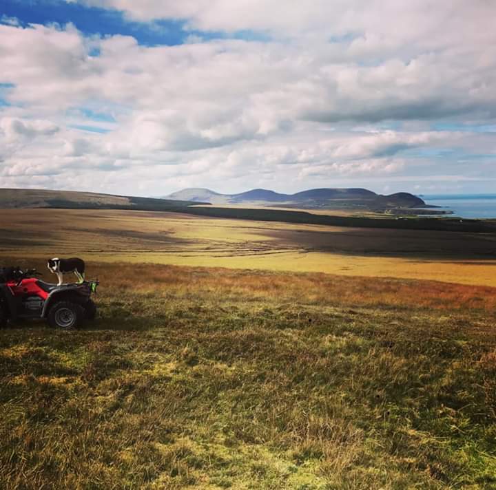 Céide Coast Ballycastle tweet media