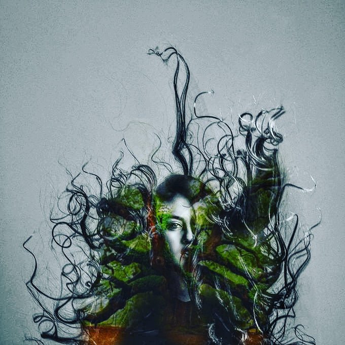 CiboThe's tweet photo. Lady Plant #Plant #photography #art #artwork #cibo #artworks #artworkday https://t.co/LiZL9sxVgN