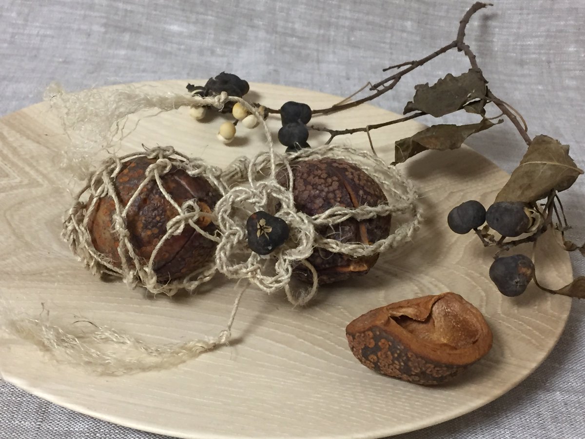 アロマアクセサリー 蜜蝋ビーズ Aroma Accessory M Sur Twitter 秋の散策で拾った木の実をネットポーチ に入れて ハンギングルームアクセサリーを作りました 自然の色のハーモニーは目にやさしいです ネットポーチの作り方は拙著でご覧いただけます こちらは