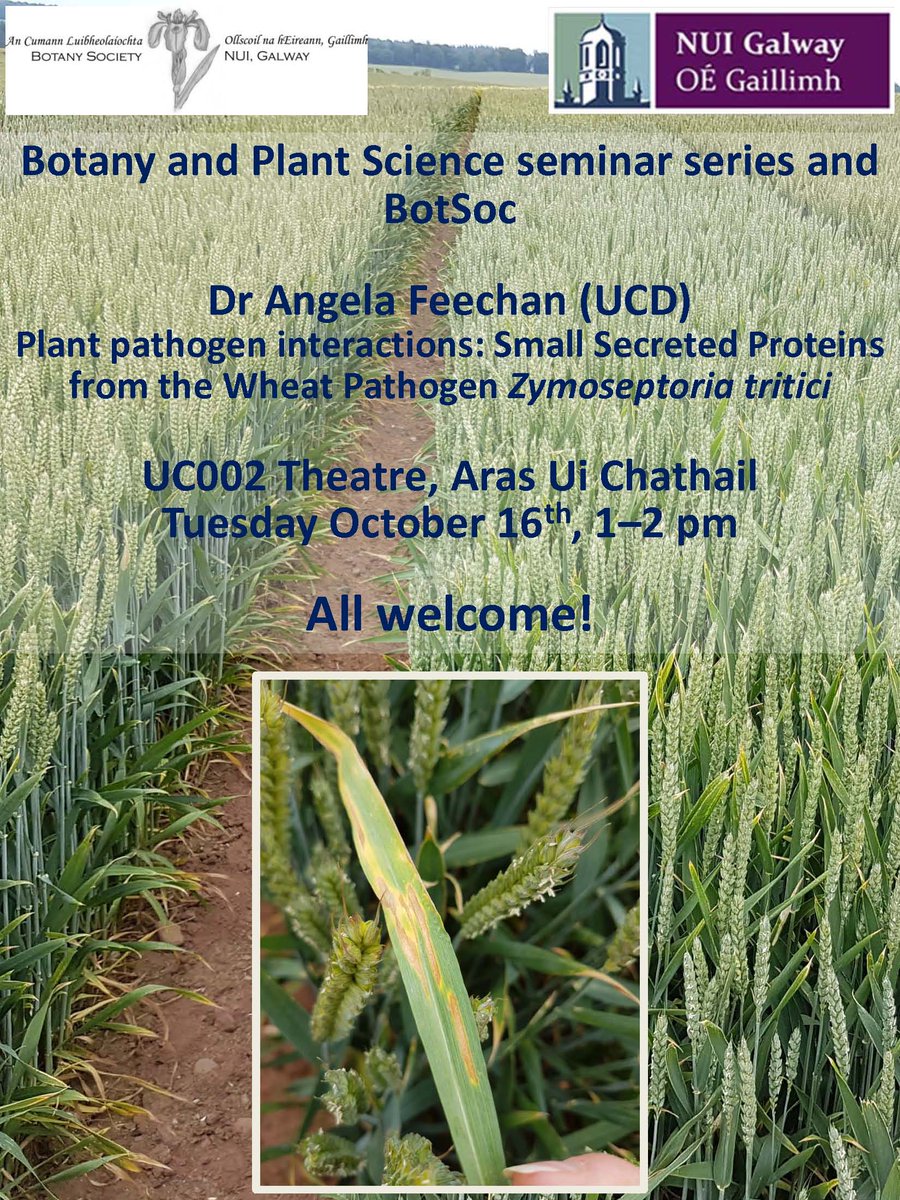 UCD Plant Science (@ucdplantsci) on Twitter photo Another <a href="/ucdplantsci/">UCD Plant Science</a> member is heading to @nuigalway to talk about their #research: @pecanpieoz of <a href="/ucdagfood/">UCD School Ag & Food</a> will be talking about #plant #pathogen #interactions at the @BPSNUIGalway #seminar next Tuesday, 16 Oct! More details in the poster! Another <a href="/ucdplantsci/">UCD Plant Science</a> member is heading to @nuigalway to talk about their #research: @pecanpieoz of <a href="/ucdagfood/">UCD School Ag & Food</a> will be talking about #plant #pathogen #interactions at the @BPSNUIGalway #seminar next Tuesday, 16 Oct! More details in the poster!