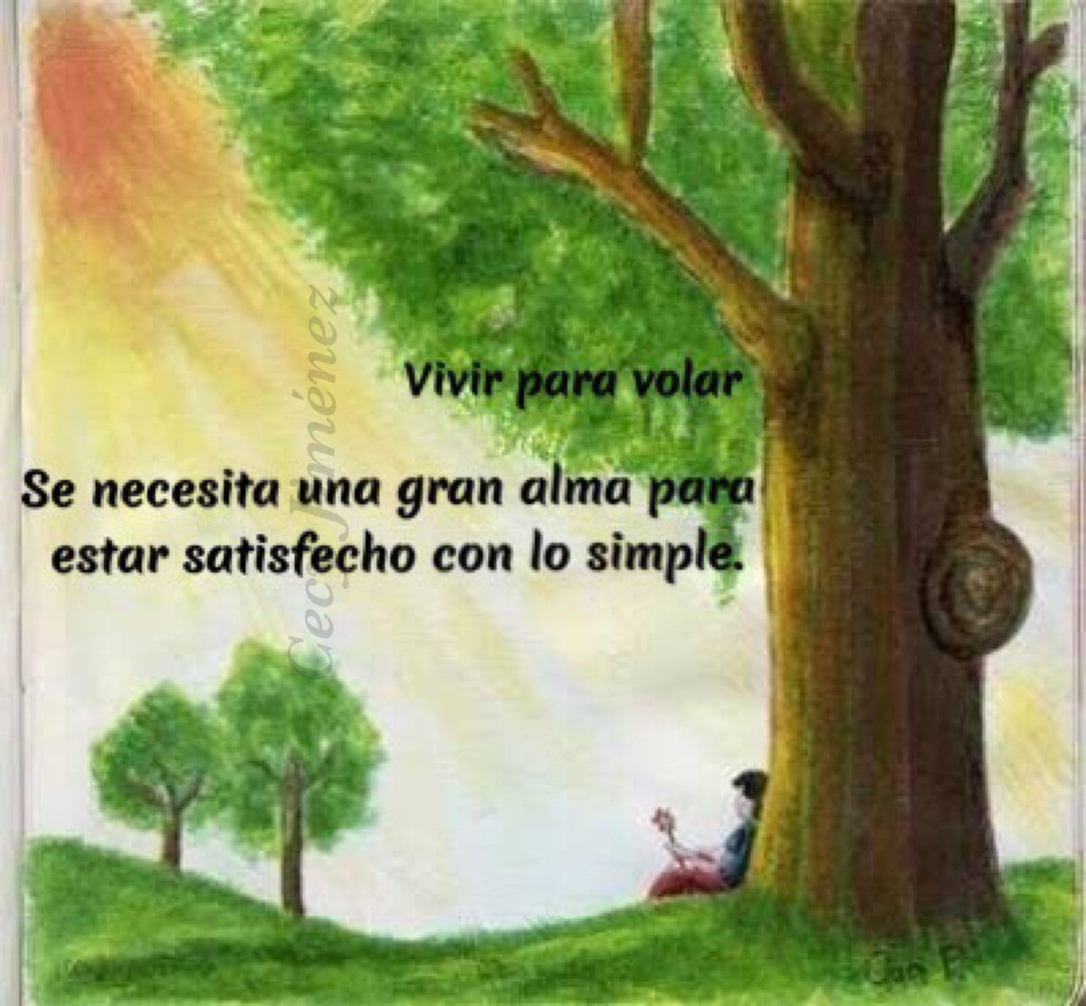 Resultado de imagen de VIVIR PARA VOLAR