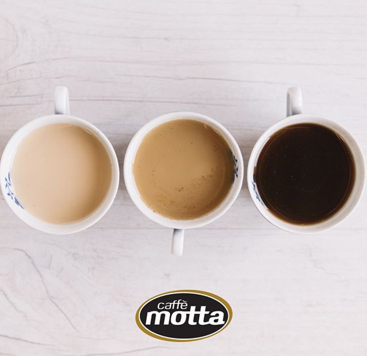 AuroraImporting's tweet image. What’s your favourite shade of coffee? #strongandbold #lightandsweet #bittersweet #coffee #espresso #shades #favourite #friday #drink #italian #caffemotta #italysbest #love #coffeeaddict #coffeelovers #caffeine